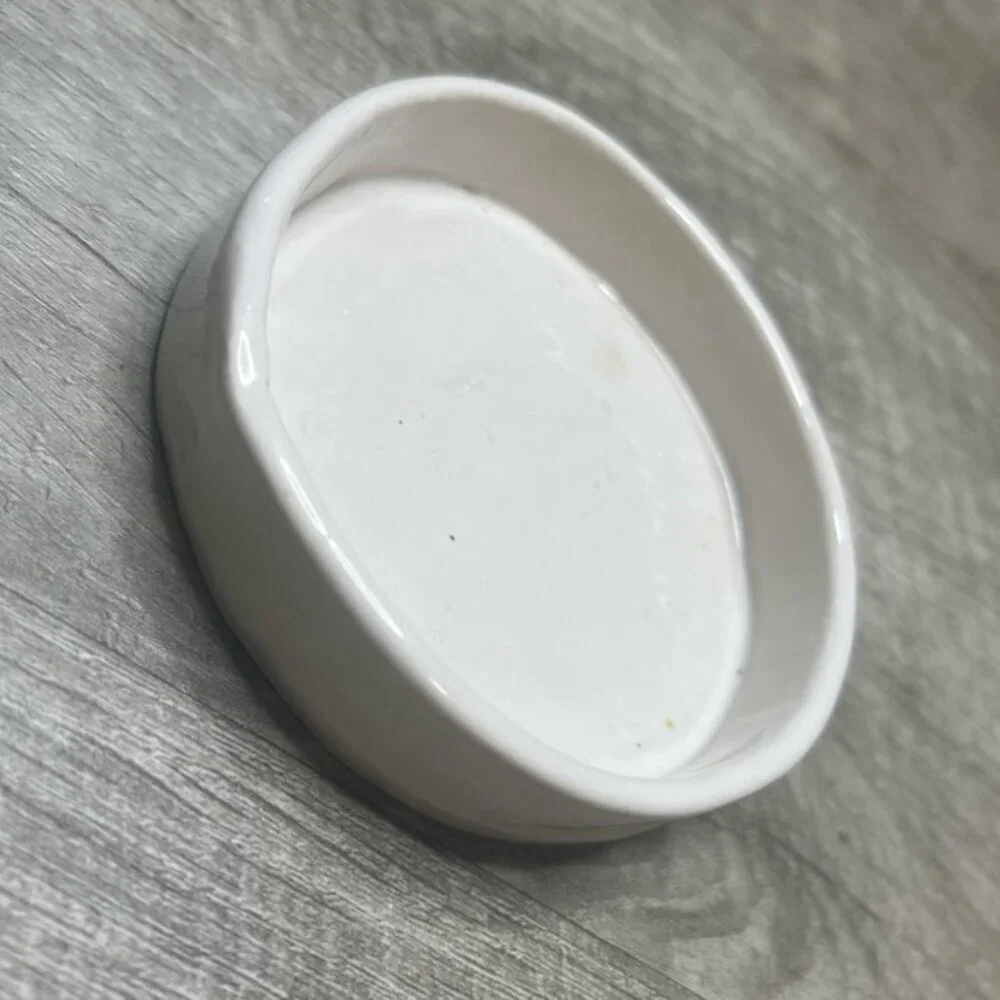 Handmade Circular Ceramic Reptile Dish